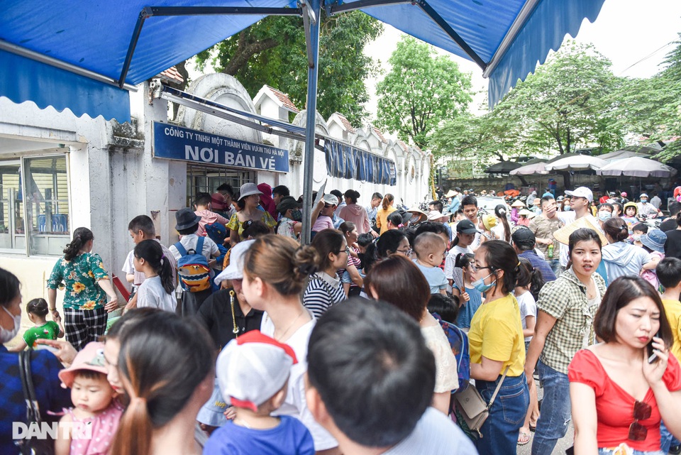 Choáng ngợp cảnh đông nghẹt thở trong công viên Thủ Lệ dịp nghỉ lễ - 2 Choáng ngợp cảnh đông nghẹt thở trong công viên Thủ Lệ dịp nghỉ lễ - 2