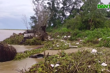 Sạt lở từ sông đến biển, dân thấp thỏm giữa mùa mưa bão