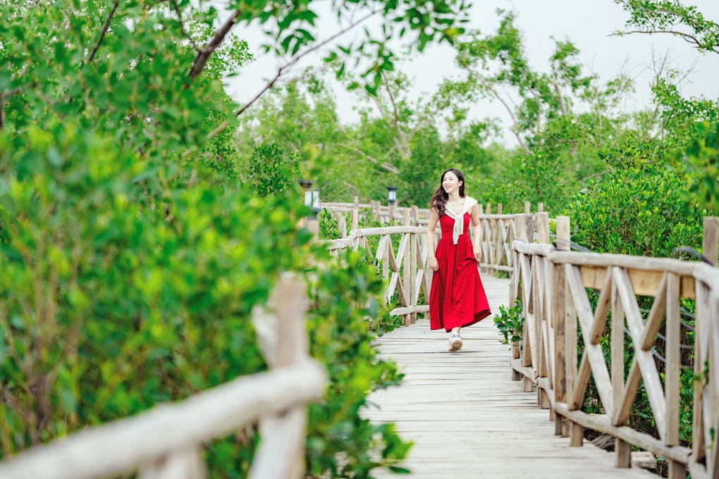 Hành trình khám phá rừng ngập mặn Dragon Mangrove Forest tại Hải Phòng - 4 Hành trình khám phá rừng ngập mặn Dragon Mangrove Forest tại Hải Phòng - 4
