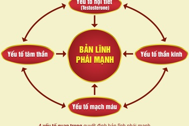 Kdnew – Khơi dậy “bản lĩnh” cho quý ông sung mãn như thời trai trẻ