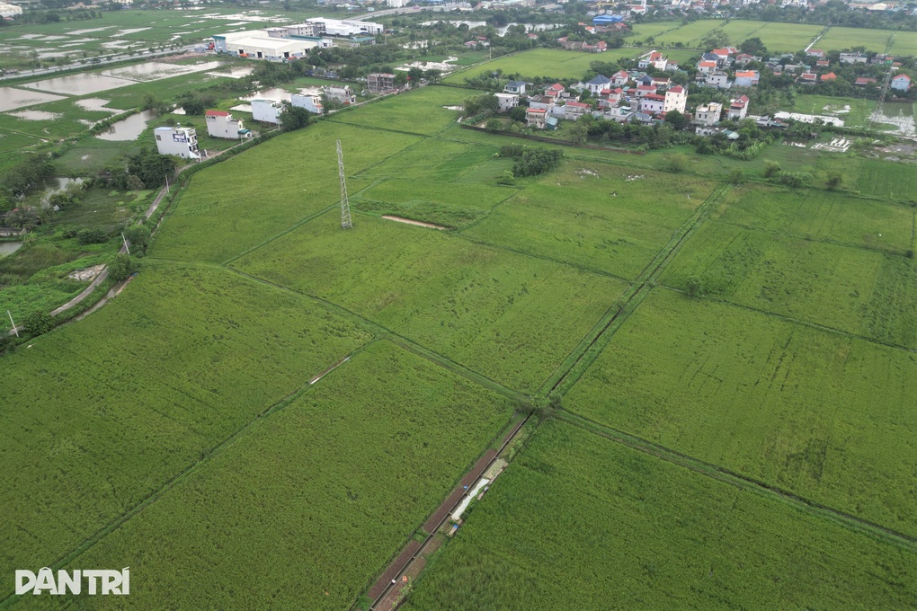 Cưỡng chế kiểm đếm đất bắt buộc để xây khu đô thị vùng đệm di sản Tràng An - 2 Cưỡng chế kiểm đếm đất bắt buộc để xây khu đô thị vùng đệm di sản Tràng An - 2