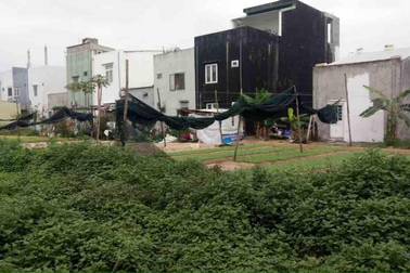 Chuyên gia luật: Đà Nẵng hủy kết quả đấu giá đất là sai luật, đẩy DN vào phá sản