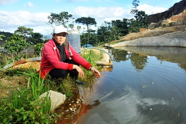 Phạt hơn 250 triệu đồng Công ty bia rựợu Đà Lạt xả thải bẩn ra hồ