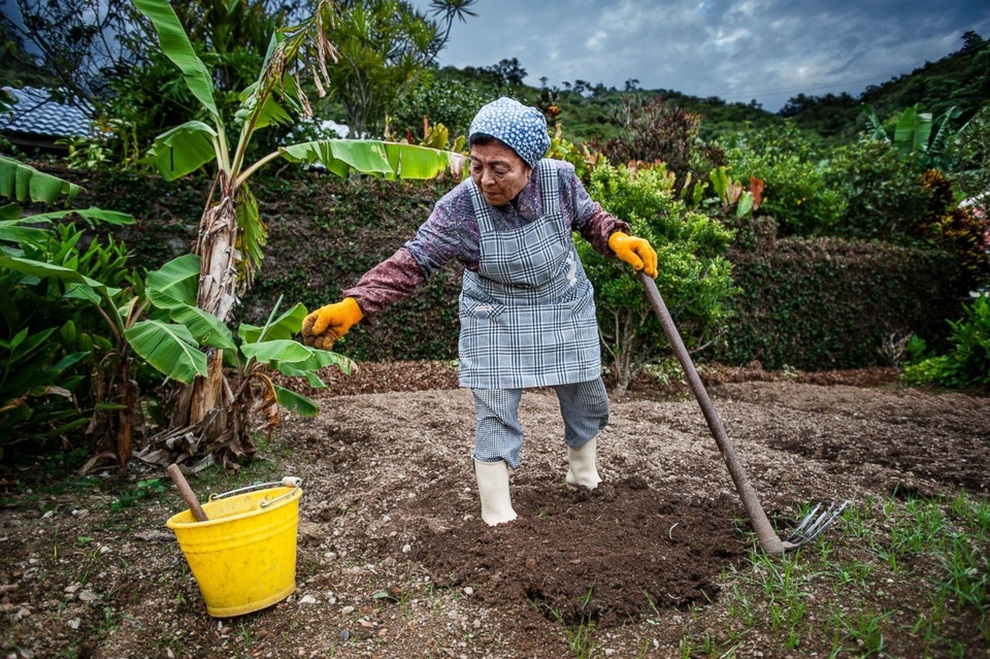 Bí quyết ăn uống giúp sống lâu của người dân làng trường thọ ở Nhật Bản - 10 Bí quyết ăn uống giúp sống lâu của người dân làng trường thọ ở Nhật Bản - 10