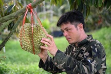 Trung Quốc tự trồng sầu riêng, lối đi nào cho Việt Nam?