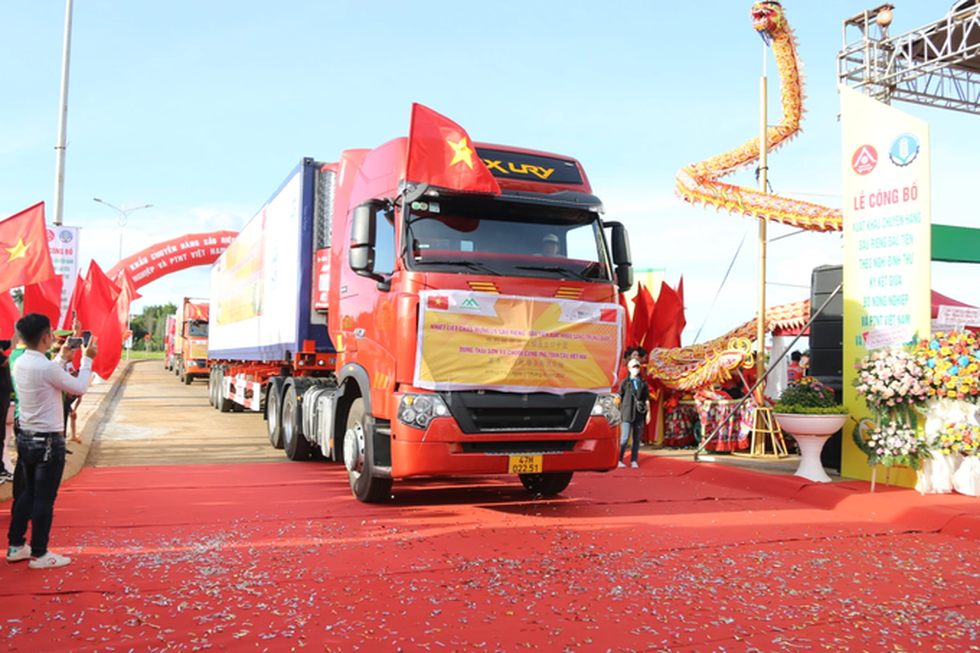 Niềm vui chung từ sầu riêng - 1 Niềm vui chung từ sầu riêng - 1