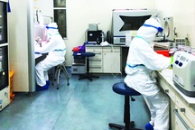 Ca Covid-19 tái dương tính: Virus không phát triển qua nuôi cấy