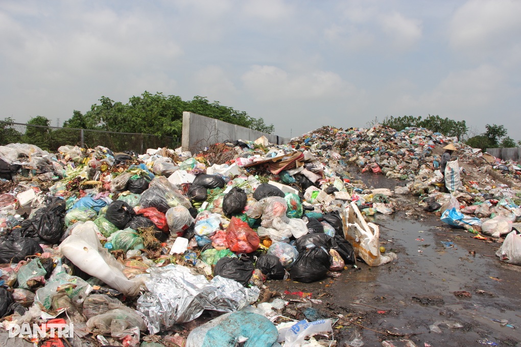 Rác thải nhựa, xác động vật không phân loại ngập ngụa các bãi tập trung - 10 Rác thải nhựa, xác động vật không phân loại ngập ngụa các bãi tập trung - 10