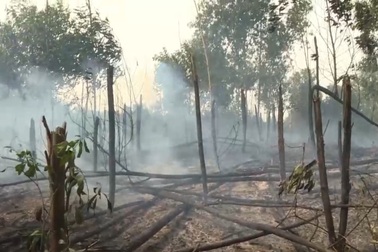 Cháy lớn suốt 4 giờ thiêu rụi 15 ha rừng