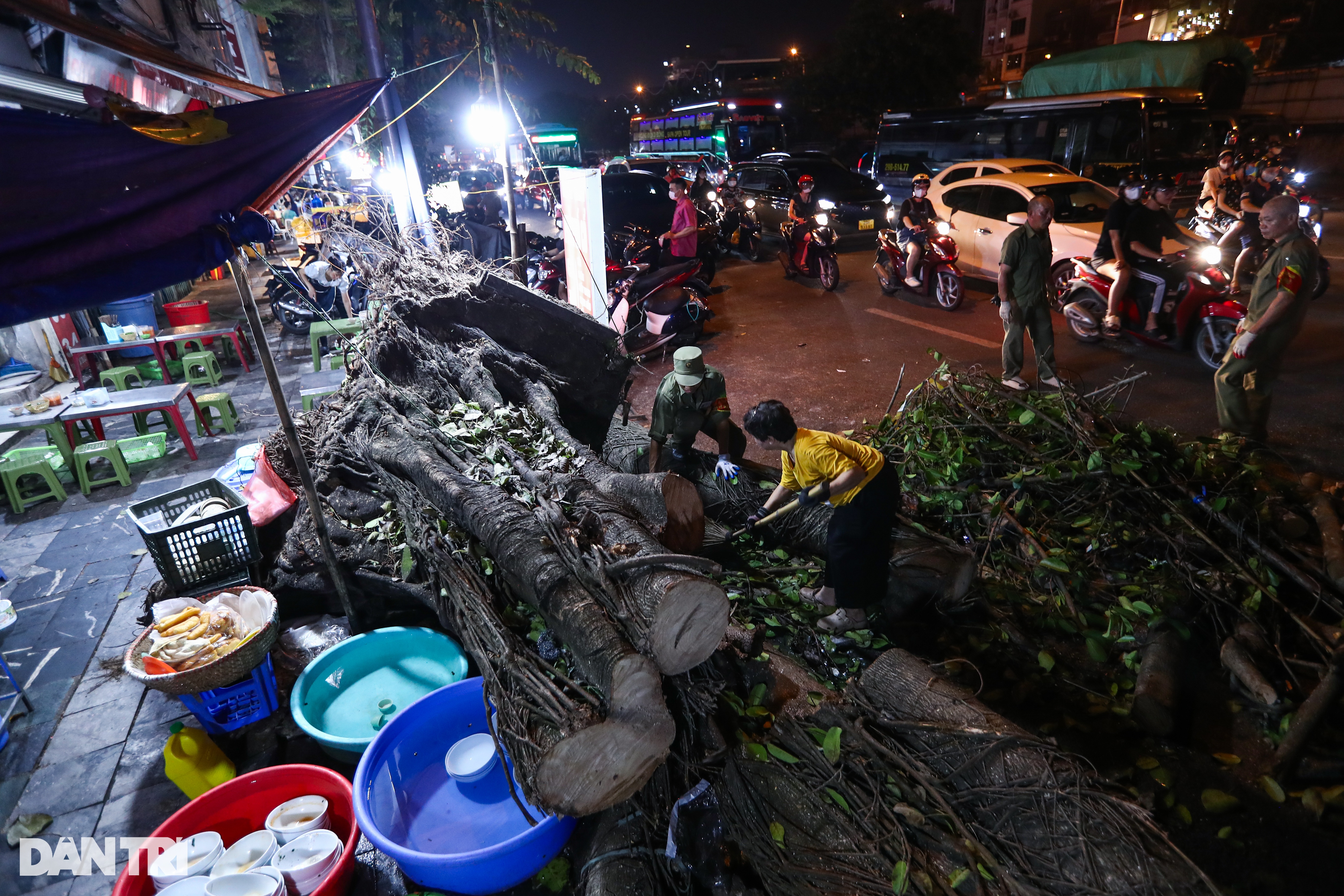 View - Đội tinh nhuệ từ các địa phương xuyên đêm dọn dẹp cây xanh hỗ trợ Hà Nội | Báo Dân trí