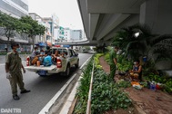 TPHCM tiếp nhận hơn 500 người xin ăn, sống lang thang