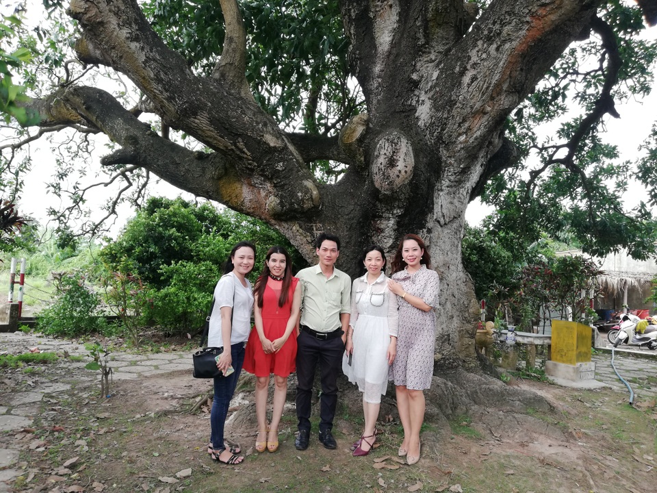 Cụ xoài 300 năm ở xứ Công tử Bạc Liêu 5 người ôm thân cây không hết - 9 Cụ xoài 300 năm ở xứ Công tử Bạc Liêu 5 người ôm thân cây không hết - 9