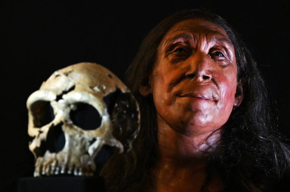 Tái tạo diện mạo của người phụ nữ cách đây 75.000 năm - 1
