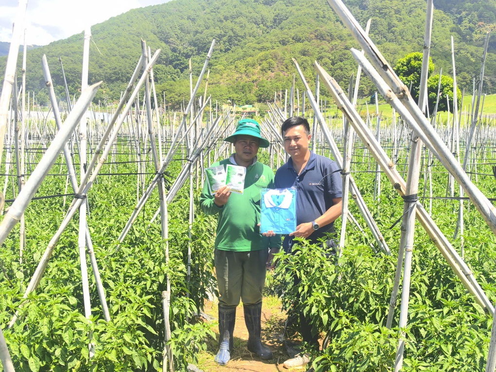 PQZ 20WG - Giải pháp kiểm soát bọ phấn trắng, rệp đào, bảo vệ cây trồng - 4 PQZ 20WG - Giải pháp kiểm soát bọ phấn trắng, rệp đào, bảo vệ cây trồng - 4