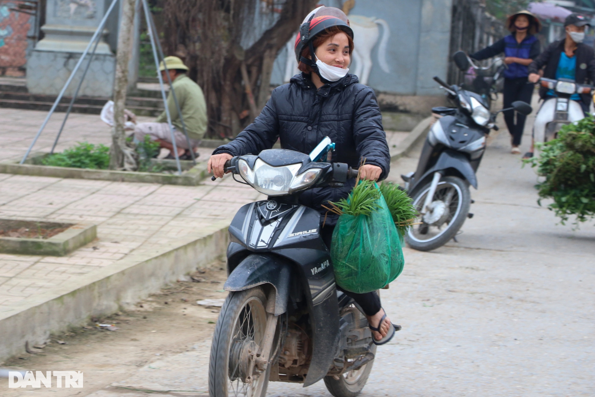 Nông dân hồ hởi nhổ lúa non bán, vớ bẫm - 10 Nông dân hồ hởi nhổ lúa non bán, vớ bẫm - 10