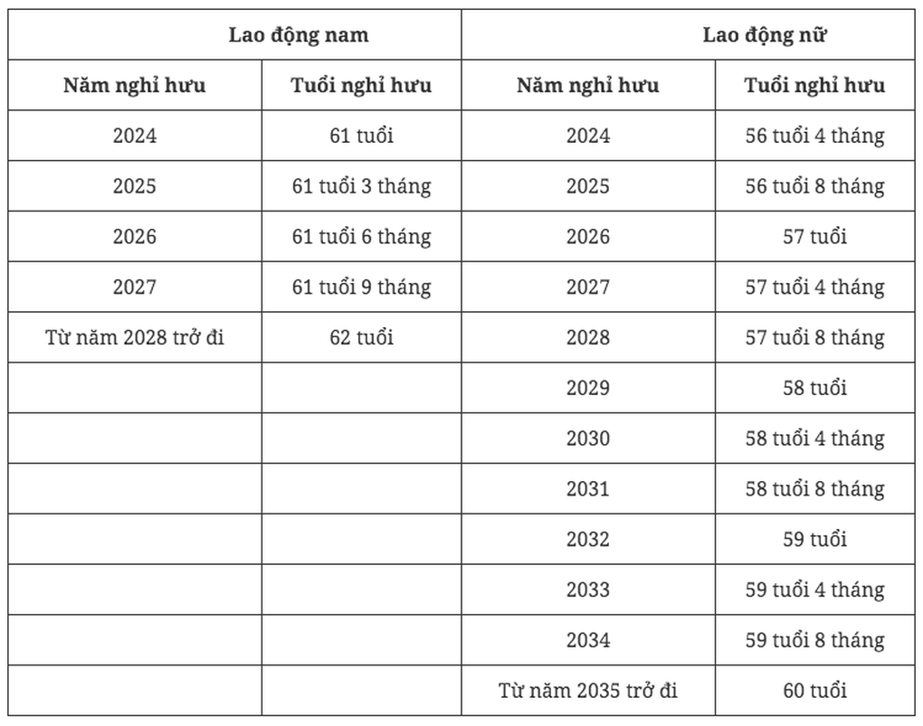 Tuổi nghỉ hưu của người lao động năm 2024 tăng lên bao nhiêu? - 2