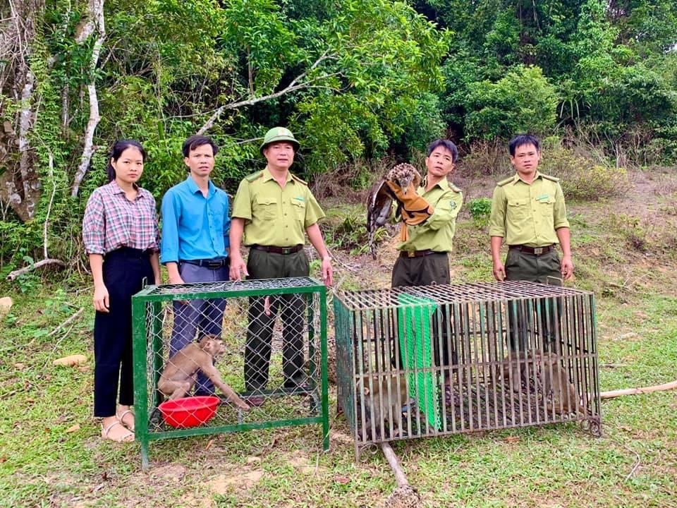 Thả nhiều cá thể động vật quý hiếm về tự nhiên - 1 Thả nhiều cá thể động vật quý hiếm về tự nhiên - 1