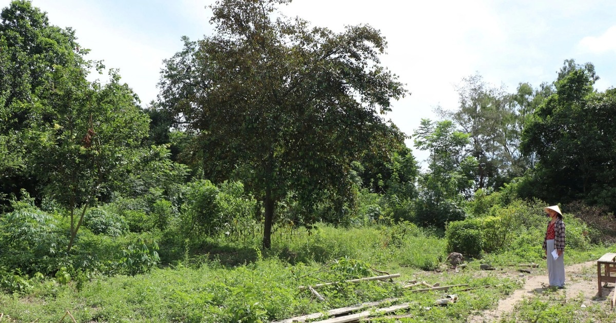 Đơn vị thuế nói gì về thông báo nộp gần 4,5 tỷ đồng chuyển đổi 300m2 đất?