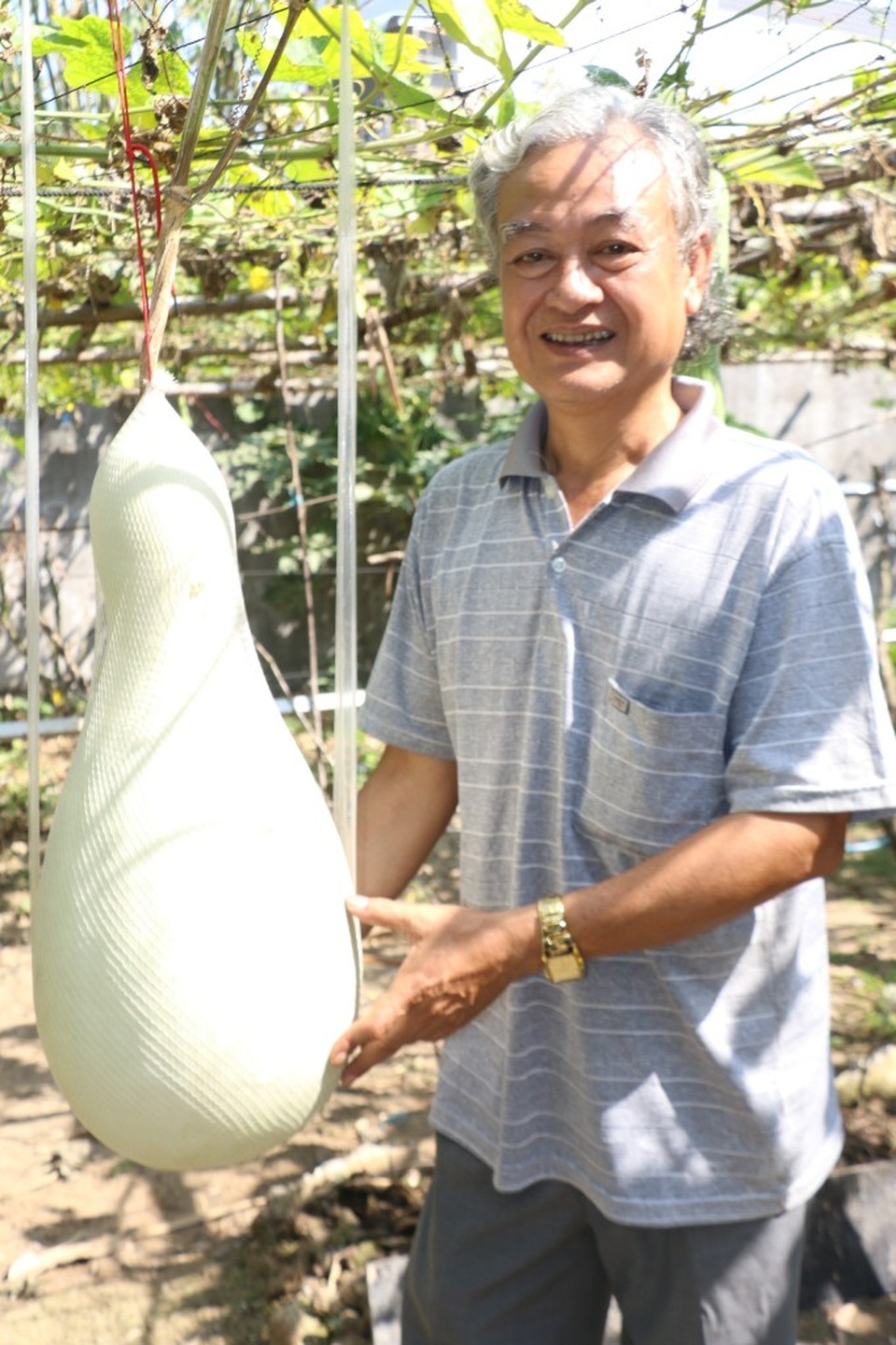 Du khách đổ về chiêm ngưỡng vườn bầu khổng lồ cho trái nặng tới 30kg - 10 Du khách đổ về chiêm ngưỡng vườn bầu khổng lồ cho trái nặng tới 30kg - 10
