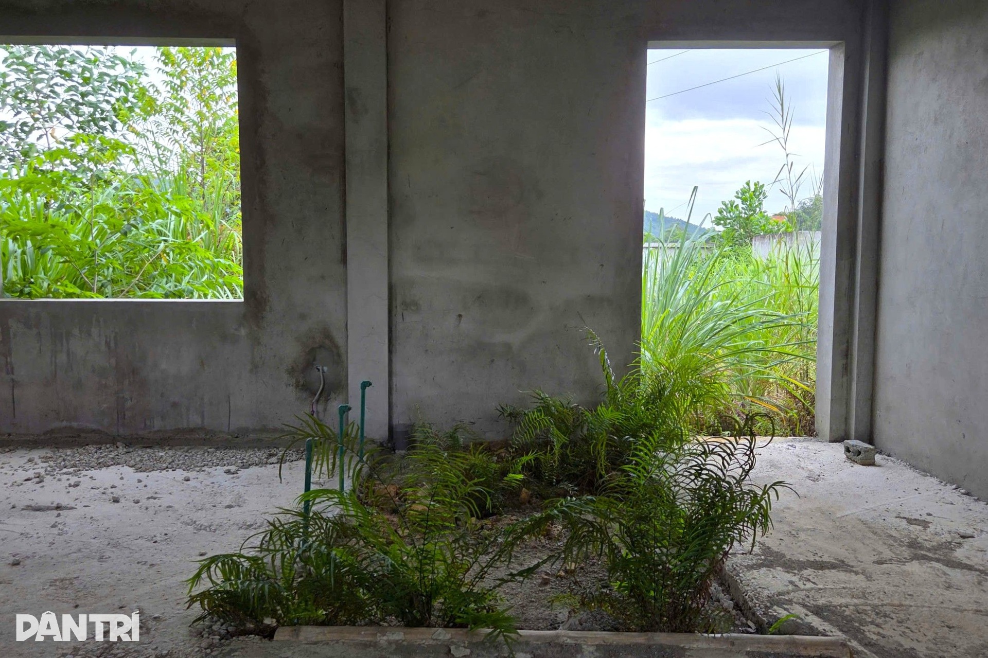 Dự án trường mầm non gần 30 tỷ đồng ở Thanh Hóa dang dở, cỏ dại mọc um tùm - 5