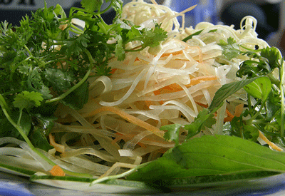 Có nguy cơ khuẩn E.coli nguy hiểm xuất hiện tại Việt Nam?