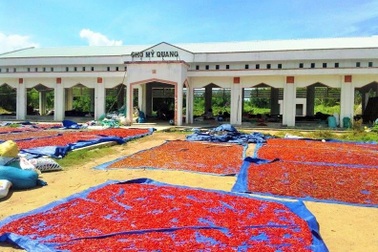 Bình Định: Chợ nông thôn xây dựng tiền tỷ xong… bỏ trống, làm nơi chất củi