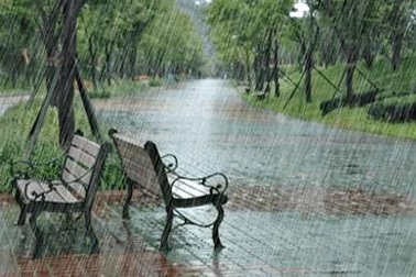 Trắc nghiệm: Cách nói thời tiết mưa trong tiếng Anh như thế nào?