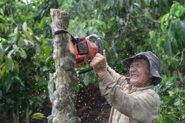 Hàng chục hộ dân bàn giao mặt bằng cho dự án cao tốc Bảo Lộc - Liên Khương