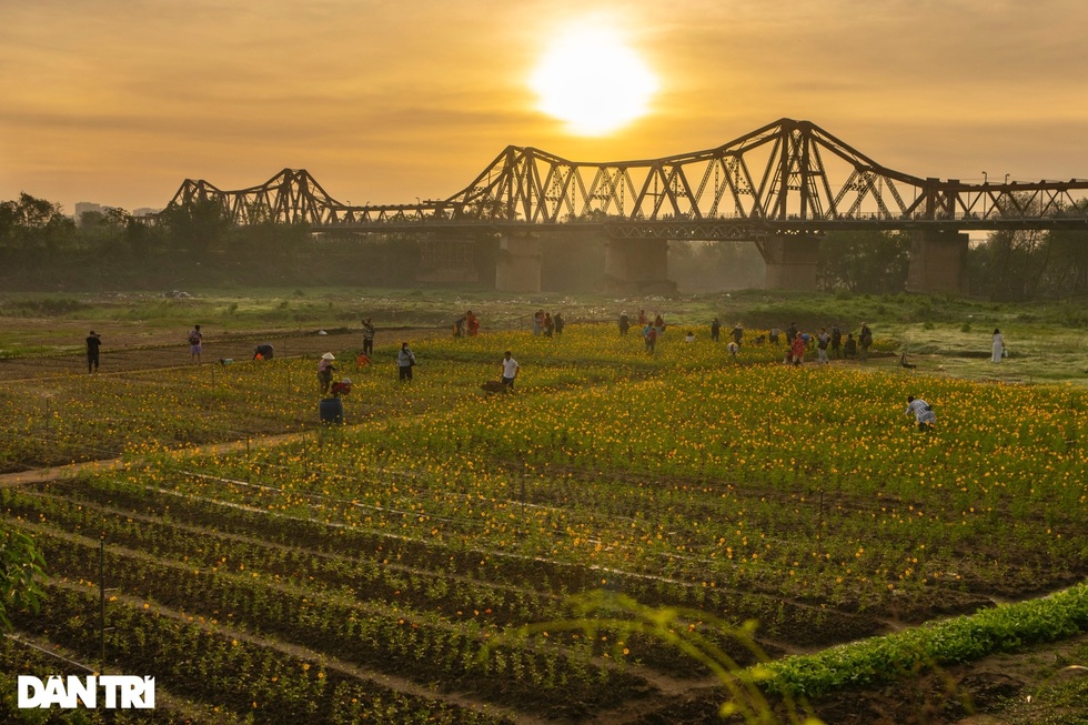 Hà Nội xin đừng quên… cầu Long Biên - 1 Hà Nội xin đừng quên… cầu Long Biên - 1