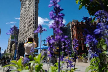 Thủ thuật chụp ảnh trên Lumia 1020