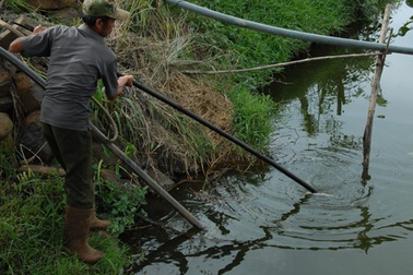 Lâm Đồng: Phạt nặng công ty chế biến cà phê xả thải bẩn ra môi trường
