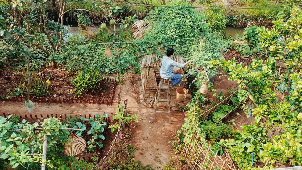 Bỏ phố về quê, cặp vợ chồng Bến Tre làm khu vườn 500m2 tràn ngập rau trái - 1 Bỏ phố về quê, cặp vợ chồng Bến Tre làm khu vườn 500m2 tràn ngập rau trái - 1