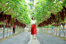 Người đàn ông bỏ lương cao, "cãi trời" thu nửa tỷ đồng mỗi năm