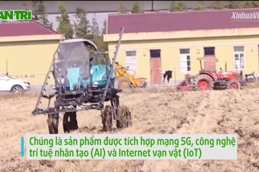 Tròn mắt với mô hình trồng lúa "không người", tự động hóa 100%