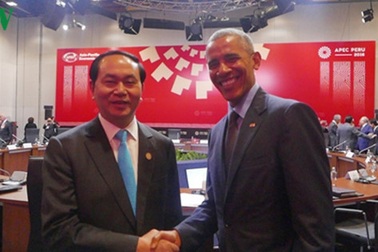 Chủ tịch nước Trần Đại Quang gặp lãnh đạo nhiều nước thành viên APEC