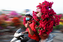 Con đường dọc kênh Tham Lương rực rỡ dịp Tết Nguyên đán