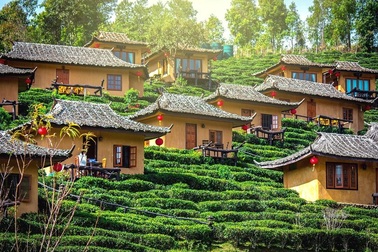 Ngôi làng ẩn hiện trong mây, nằm giữa đồi chè đẹp như cổ tích ở Thái Lan