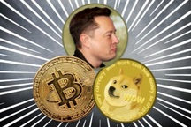 Elon Musk giở chiêu độc khó ngờ để thổi giá tiền điện tử