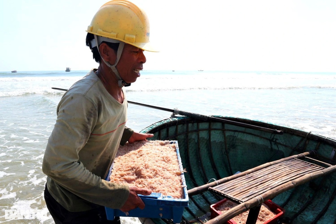 Xăng dầu tăng, hải sản rớt giá, ngư dân cắn răng vươn khơi - 4 Xăng dầu tăng, hải sản rớt giá, ngư dân cắn răng vươn khơi - 4
