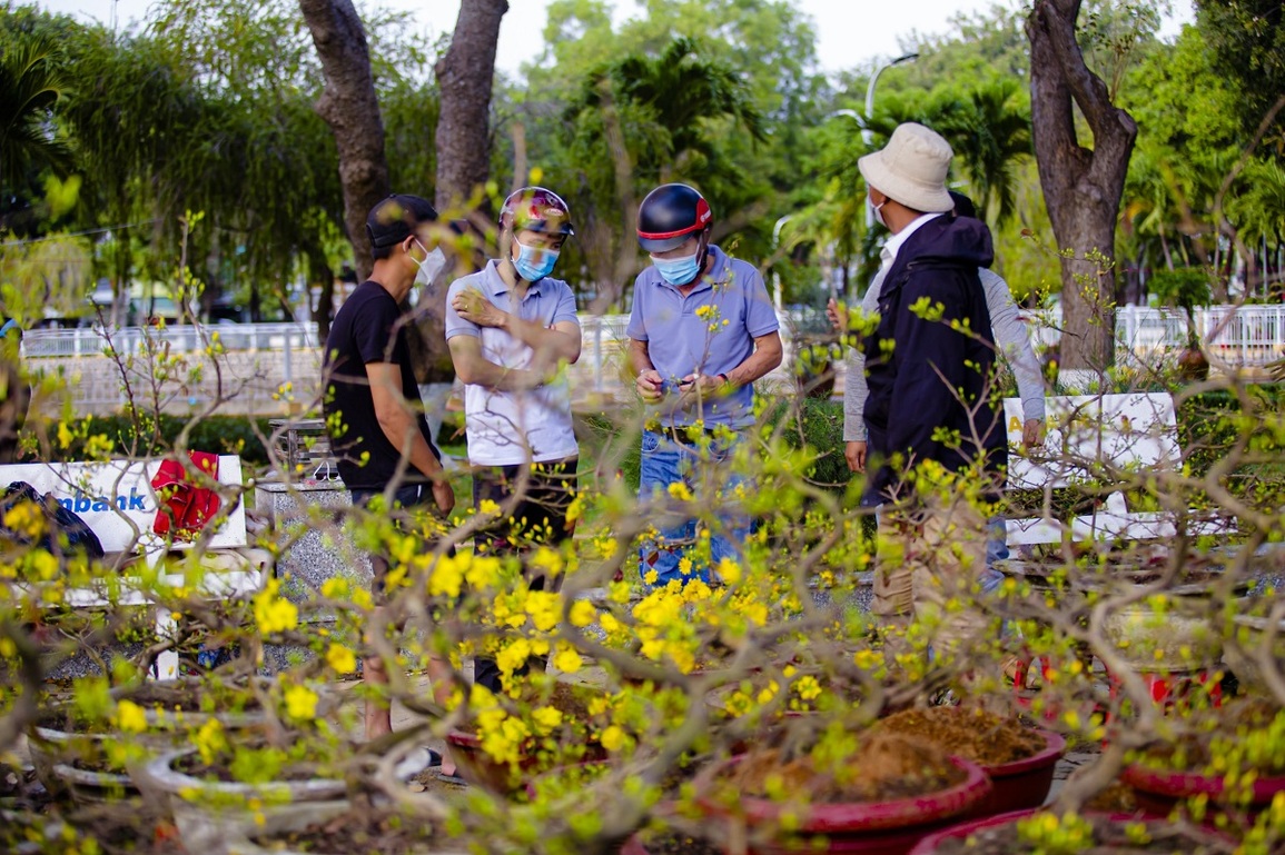 Ninh Thuận: Người dân dạo chợ ngắm hoa là chính, ít người mua - 1 Ninh Thuận: Người dân dạo chợ ngắm hoa là chính, ít người mua - 1