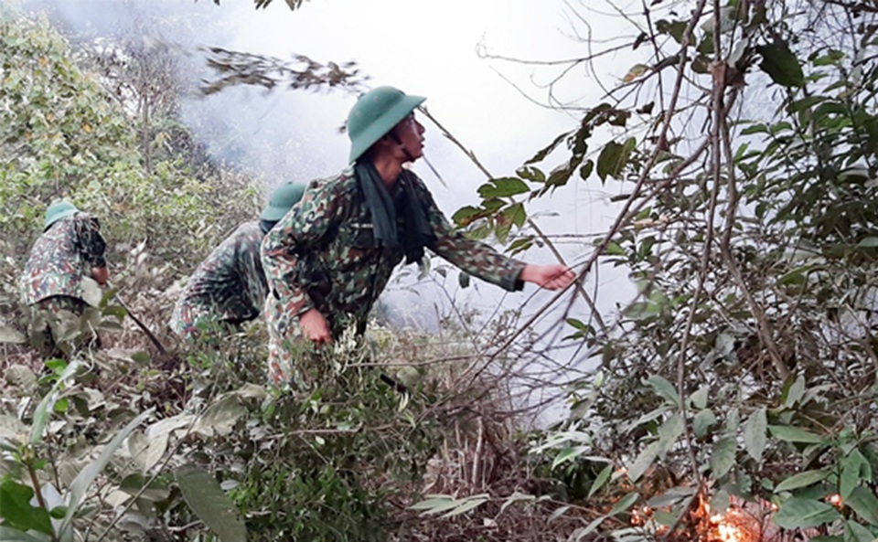 Rừng thông bốc cháy giữa nắng gắt, Hà Tĩnh lo tái diễn cháy rừng lịch sử - 1 Rừng thông bốc cháy giữa nắng gắt, Hà Tĩnh lo tái diễn cháy rừng lịch sử - 1