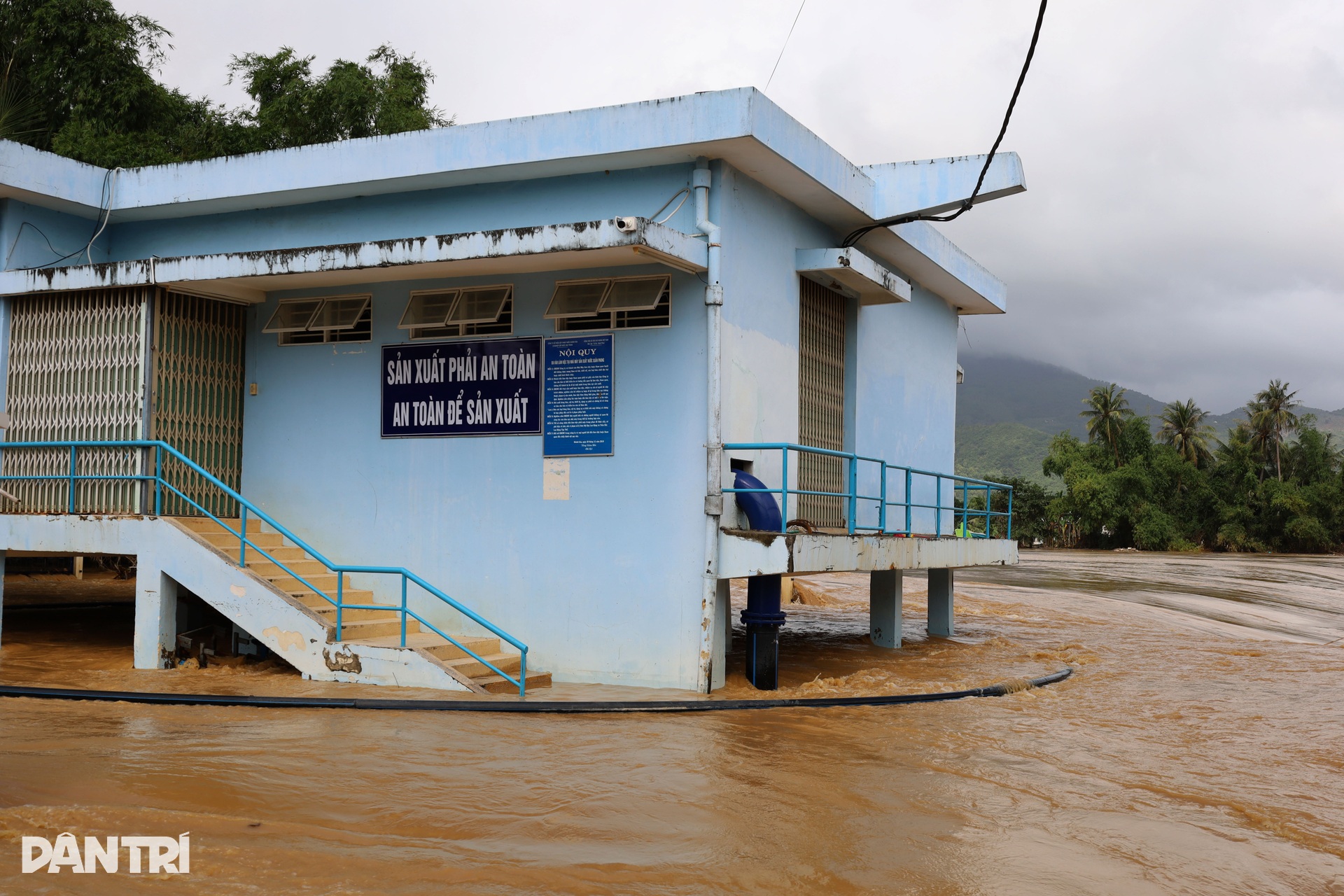 Nhiều nơi ngập sâu, lũ tiếp tục dâng, người dân Nha Trang đưa ô tô lên cao - 2