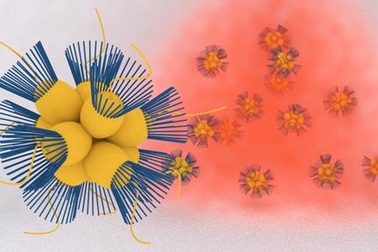 Sinh vật đơn bào di chuyển về phía môi trường có oxy như thế nào?