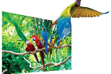 “Thật như cuộc sống” 