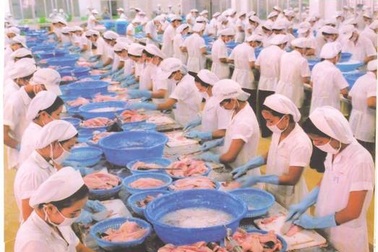 Cú sốc mới của doanh nghiệp thủy sản