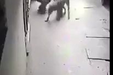 Clip cận cảnh vụ chó tấn công chủ nhân đến nhập viện