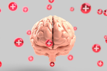 Các nhà khoa học điều khiển khỉ bằng sóng siêu âm