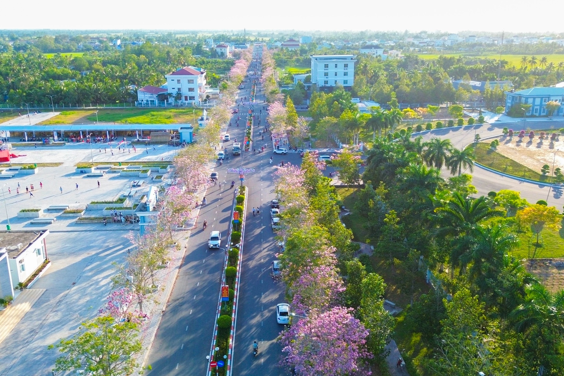 Con đường rực rỡ hoa anh đào ở miền Tây - 8 Con đường rực rỡ hoa anh đào ở miền Tây - 8