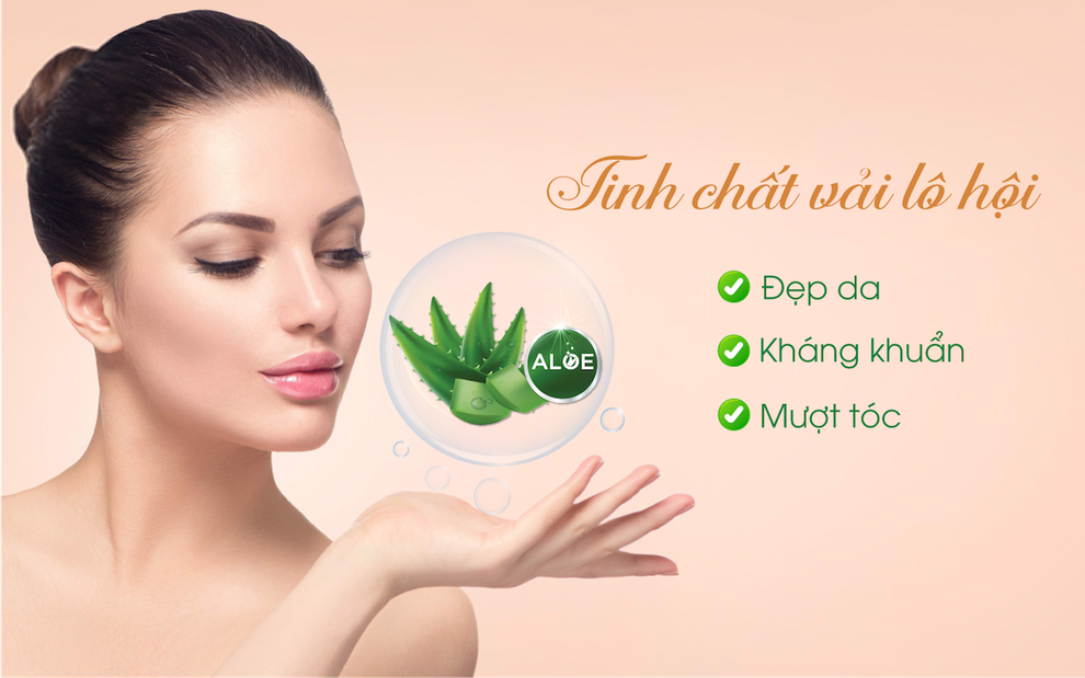 Giấc ngủ kim cương trong giai đoạn bình thường mới - 3 Giấc ngủ kim cương trong giai đoạn bình thường mới - 3