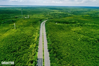 TPHCM gìn giữ khu dự trữ sinh quyển, làm công viên rừng ngập mặn Cần Giờ